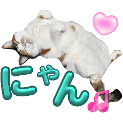 YUKI_20250715122653