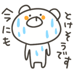 POKKUMA summer
