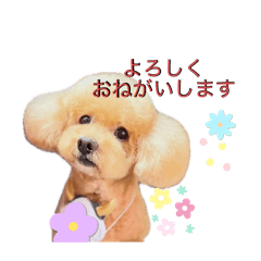 Emily_20250715204058