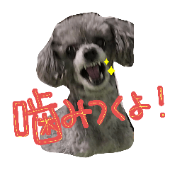 tsubaki_20250715205056