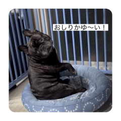 yuzu_20250715204639