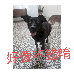 Lucky與johnson的專屬貼圖