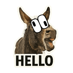 Donkey驢子