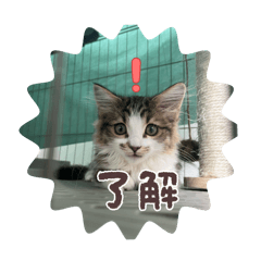 hina_20250715170043