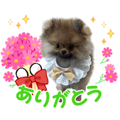 yoshi_20250715202205