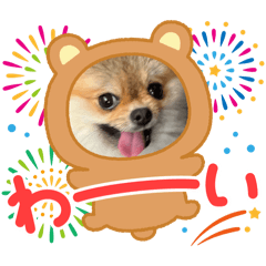 pomepome shizuku_20250715220327