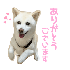 KARIN_20250715210928