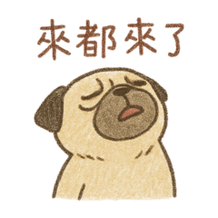 不知所云的巴哥—來都來了