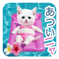AI White Kitty OLIVIA @ Summer