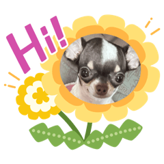 Little gyozanoi