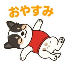 aya_20250715202511