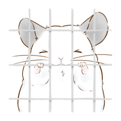 ふわもちなチンチラさんたち