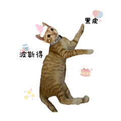 咪嚕的日常語錄