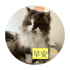 自製貼圖試用區