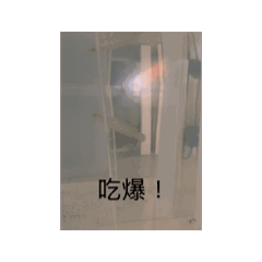 一個影片5塊錢