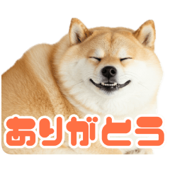 Cat chubby shiba inu stickers