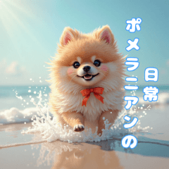 Pom Pom日常：可愛的博美生活