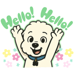 Bichon Buddy Returns