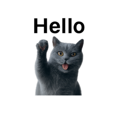 POTATO_20250715211756