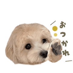 yunomama_20250715212029