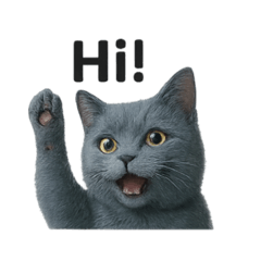 POTATO_20250715212142