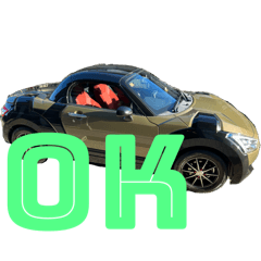 yoshi_20250714144850
