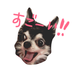 marokonokimochi
