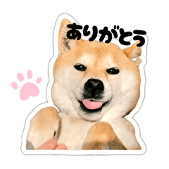 Summer_20250715232603