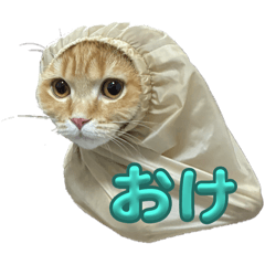 Haru_20250716002344