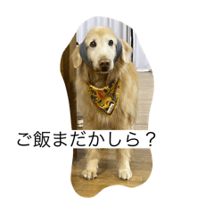 Rk_20250714121823