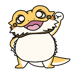 The daily life of a bearded dragon2