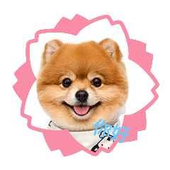 可愛的小狗小貓的貼圖