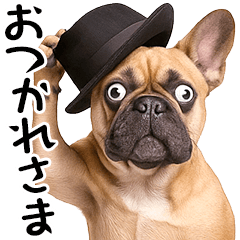 +French Bull 2