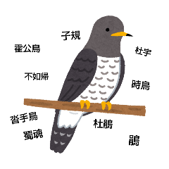 piko_20250714143126