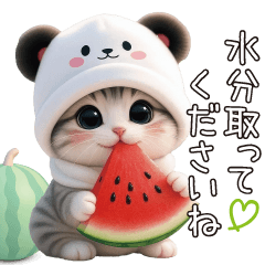 cute cat panda cap keigo by keimaru