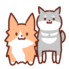 コーギーと柴犬！