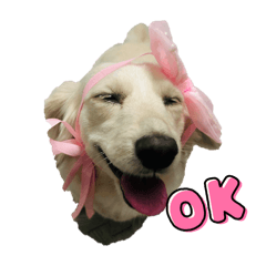 藍錢錢和馬巧妹