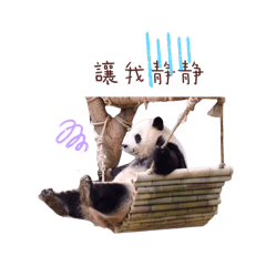 熊貓們的奇幻世界