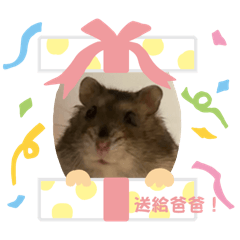 肉圓拔拔專用！