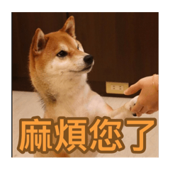 沐陽院長（黃抖仔）