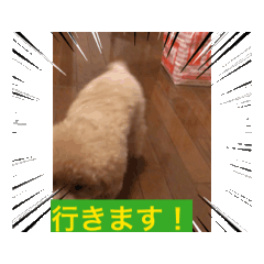 kkamomo0809