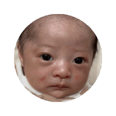 HIMA_20250716223312