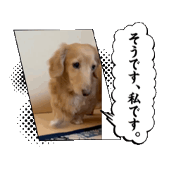 key_20250716225956