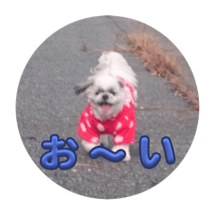 nao_20250716021038