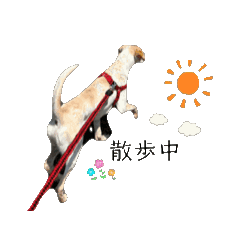 abc_20250717095731
