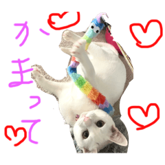 mei_20250716085940