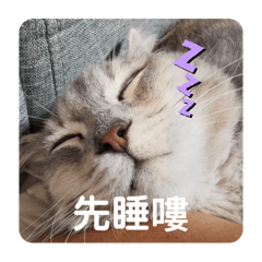 豆豆合集