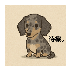 ai_20250716112009