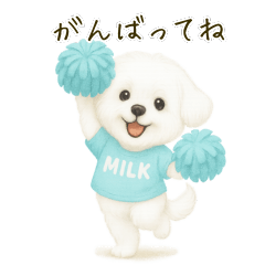 爱犬MILK马尔济斯表情包