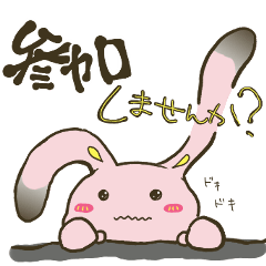 遊びに誘える☆もっちりウサギ